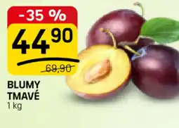 Flop Blumy tmavé nabídka
