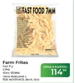 Tamda Foods Farm Frites nabídka