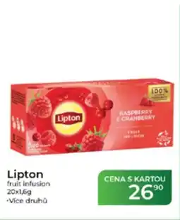Tamda Foods Lipton fruit infusion nabídka