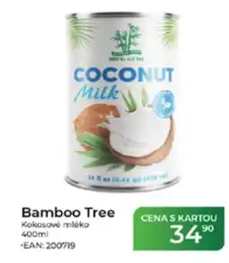 Tamda Foods Bamboo Tree Kokosové mléko nabídka