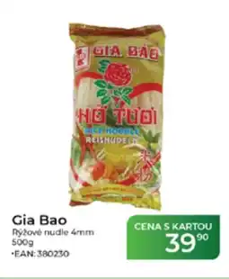 Tamda Foods Gia Bao Rýžové nudle 4mm nabídka
