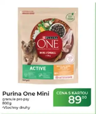 Tamda Foods Purina One Mini granule pro psy nabídka