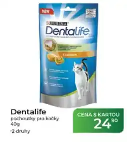 Tamda Foods Dentalife pochoutky pro kočky nabídka