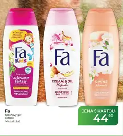 Tamda Foods Fa Sprchový gel nabídka