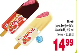 Qanto Mrož jahodový/v bílé čokoládě nabídka