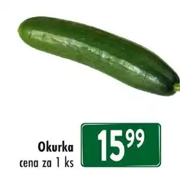 Qanto Okurka nabídka