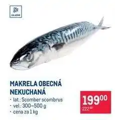 Makro Makrela obecná nekuchaná nabídka