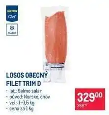 Makro Losos obecný filet trim D nabídka