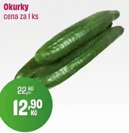 BonVeno Okurky nabídka
