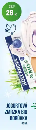 BonVeno Jogurtová zmrzka bio borůvka nabídka