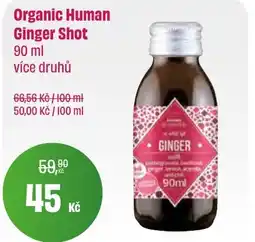 BonVeno Organic Human Ginger Shot nabídka