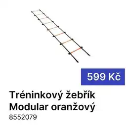 Decathlon Tréninkový žebřík Modular oranžový nabídka