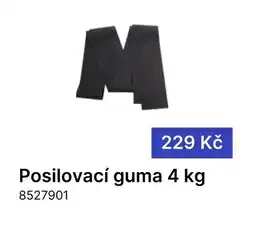 Decathlon Posilovací guma nabídka