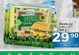 Jip Gouda sýr plátky 40% nabídka