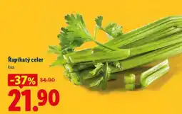 Lidl ŘAPÍKATÝ CELER nabídka
