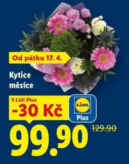 Lidl KYTICE MĚSÍCE nabídka