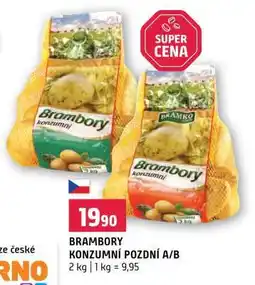 Terno BRAMBORY KONZUMNÍ POZDNÍ A/B nabídka