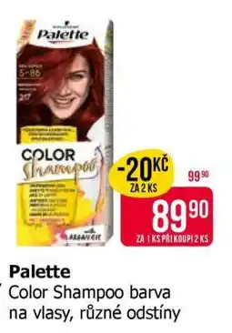 Teta Palette Color Shampoo nabídka