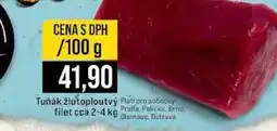 Jip Tuňák žlutoploutvý Plati pro pobočky filet cca 2-4 kg 100g nabídka