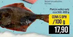 Jip Platys velký celý cca 300-400 g 100 g nabídka