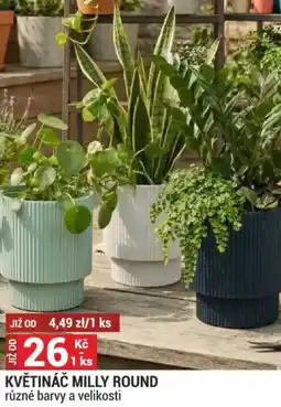 Merkury Market Květináč milly round nabídka