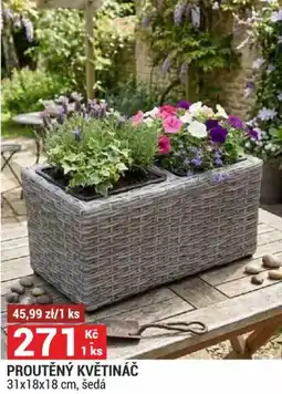 Merkury Market Proutěný květináč nabídka