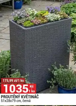 Merkury Market Proutěný květináč nabídka