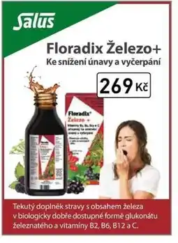 Alphega Lékárna Floradix Železo+ nabídka