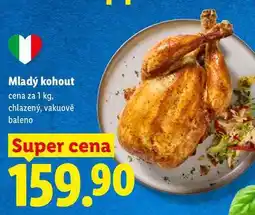 Lidl Mladý kohout, cena za nabídka