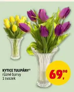 Penny Market KYTICE TULIPÁNY, 1 svazek nabídka