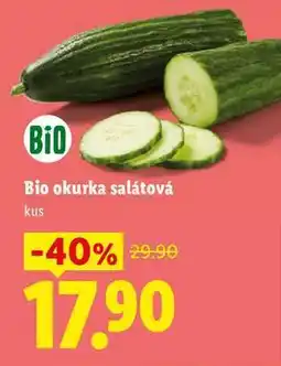 Lidl Bio okurka salátová, 1 ks nabídka