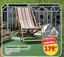 Penny Market TRÁVNÍKOVÝ KOBEREC nabídka