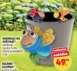 Penny Market DEKORACE NA KVĚTINÁČ nabídka