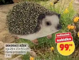 Penny Market DEKORACE JEŽEK nabídka