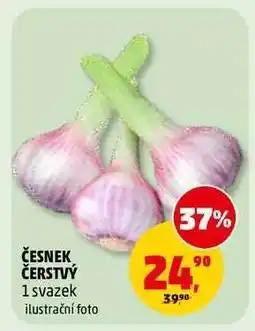 Penny Market Česnek čerstvý nabídka
