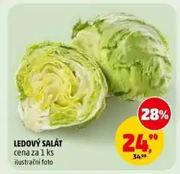 Penny Market Ledový salát nabídka