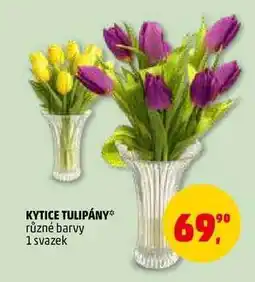 Penny Market Kytice tulipány nabídka
