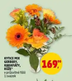 Penny Market Kytice Mix Gerbery, Karafiáty, Růže nabídka