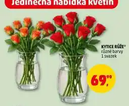 Penny Market Kytice Růže nabídka