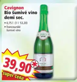 Norma Cavignon nabídka