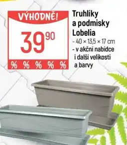 Globus Truhlíky a podmisky Lobelia nabídka