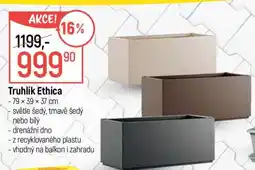 Globus Truhlík Ethica nabídka