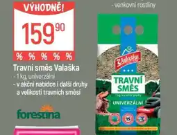 Globus Travní směs Valaška nabídka