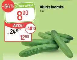 Globus Okurka hadovka nabídka