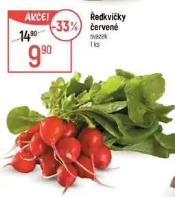 Globus Ředkvičky červené nabídka