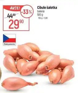 Globus Cibule šalotka nabídka