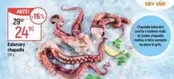 Globus Kalamáry chapadla nabídka
