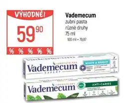 Globus Vademecum zubní pasta nabídka