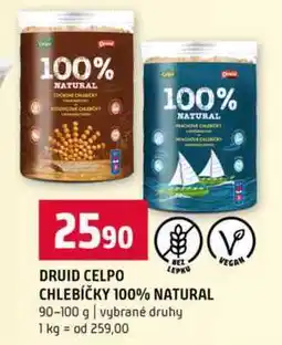 Terno DRUID CELPO BEZ VEGAN LEPKY CHLEBÍČKY 100% NATURAL nabídka