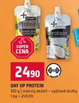 Terno DAY UP PROTEIN 100 g ovocný dezert vybrané druhy nabídka